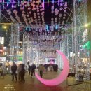 해운대구남로부동산공인중개사사무소 | [부산여행]부산 해운대 빛축제 다녀온 후기