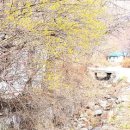 이파리 - 강남구 논현로99길 29 | 이파리