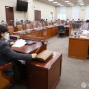 서영교 카카오 검색결과