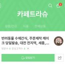 카페트라슈 이미지