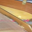 해운대자연유치원 이미지