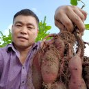 백헌농장 네이버블로그