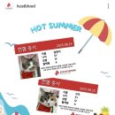 한국고양이혈액센터 이미지