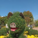 마산 가고파 국화축제 이미지