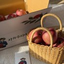 수피아마트 | [쵸리리뷰] 사과수피아 / 인터넷 주문 사과 후기