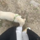 보물섬낚시터 | 곡산역 보물섬 낚시터 후기