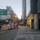신라스테이 역삼 카페 I 주말 디너 뷔페 후기