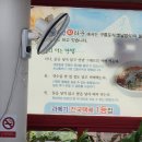 포항 물회 맛집 로컬 전통물회가 있는 해궁회타운