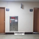 위피드 이미지