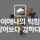 하이에나 PC 이미지