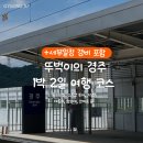 경주 여행 뚜벅이 1박 2일 코스, 일정(+경비)
