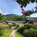 논산 이미지
