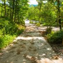 비채야영장 이미지