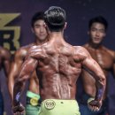 피트니스스타 이미지