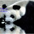 아인스크랩 이미지