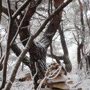 도시철도 교대역 8번출구 (버스정류장 앞) | [경주] 마석산(磨石山·531ｍ) 산행후기---2024년 2월 6일(화)