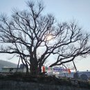 삼웅2리 마을회관 이미지