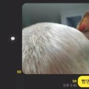 동물은내친구 이미지