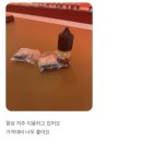 똑똑독 | 인터넷 액상 보다 저렴한,시연까지 가능한 실패없는 곳 ! 전자담배는 베이프독 젤미점