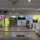 은헤어 | 홍대헤어라인 은뷰티 두피문신 후기｜비어 보이던 헤어라인 디자인