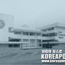 가짜 자동차 강제보험 연 2억7,000만페소 손실 이미지