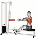 몸짱만들기GYM 이미지