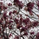 대월놀이공원 이미지