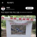 십중팔구