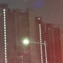 금샘 | 더샵 금정위버시티 야경 직관 후기 (금샘도서관 옆)📸