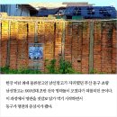 남선유통 이미지