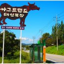 호인목장 네이버블로그