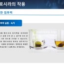 시라솔루션 이미지