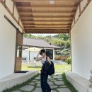 서05-403 | [2023-05-11] 담양 여행 1일차