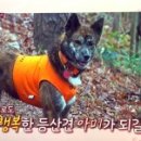 아미로농장 이미지