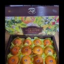 다미 농장 이미지