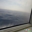 독도게스트하우스 | 울릉도 &amp; 독도 여행3 _ 울릉도 1일 차