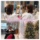 원이미장원 | 광교 미용실 디톡스 결개선 빌드펌 잘하는 유월애미장원 수원광교점