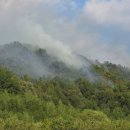 밀양농협주유소 이미지