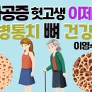 골다공증 헛고생 이제 그만! 만병통치 뼈 건강법?(이영수 원장) 이미지