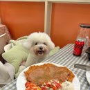 매일식당 | 분당 정자동 경양식 돈까스 맛집 '판교매일식당 정자직영점'