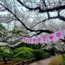 꽃즐겨찾기