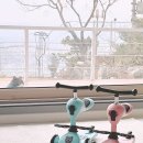 내돈내산 스쿳앤라이드 쌍둥이 하남스타필드 사용 후기 두돌전 아기 킥보드 추천 장단점