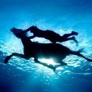 발렌스 스포츠센터 이미지