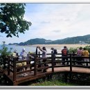 송포항 Daum카페