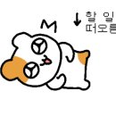 아그집들깨칼국수 이미지