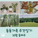 (주) 수경수산 | 동동가족 주간일기 10월 둘째주 / 추석 연휴 / 시댁&amp;친정 / 반려식물 구입 / 장릉 산책 / 대명항 꽃게 구입