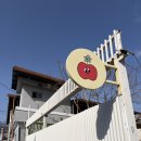 약선당명품삼계탕직영2호점 | 📍영주::260228