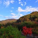 인제연가리오토캠핑장펜션 이미지