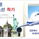 하나탑항공