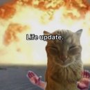 룰루PC방 | 어리고싶다